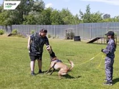 Курганские студенты побывали в гостях у кинологов