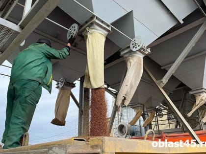 Нарушения в декларировании: фермеры Курганской области под угрозой