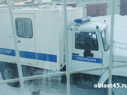 Пьяный курганец избил полицейского