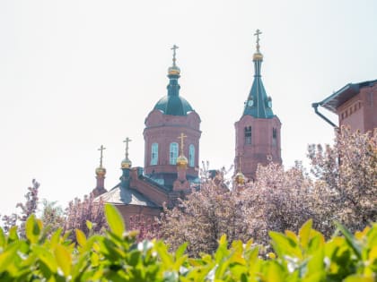 Два дня жары под 40 и три дня дождей потом. Погода в Кургане