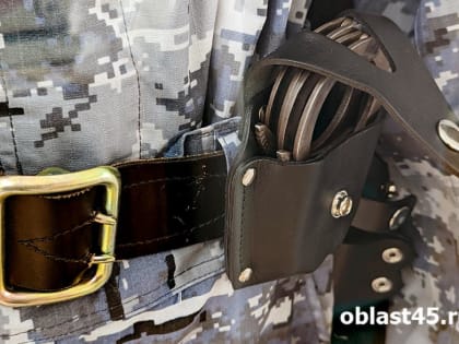 В Кургане имуществом коррупционеров займется спецуправление судебных приставов