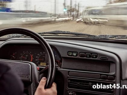 В Зауралье за месяц выявили 269 водителей в состоянии алкогольного опьянения