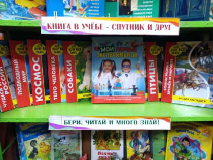 Полезные каникулы