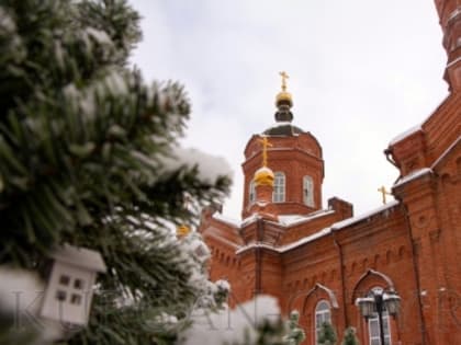 Глава Кургана Елена Ситникова поздравила курганцев с Рождеством