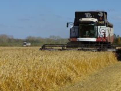 Курганская область: Лидер по производству зерна в России