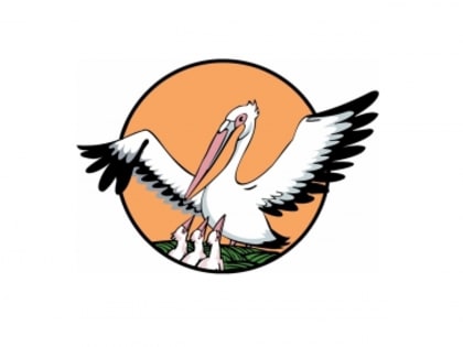 В 32-ой раз в Кургане пройдет конкурс «Учитель года»