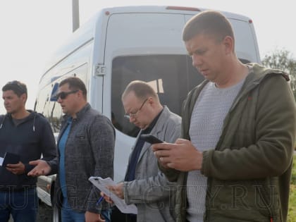 Контроль благоустройства в Кургане