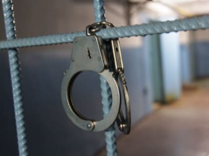 В Шадринске возбуждено уголовное дело о применении насилия в отношении сотрудника полиции