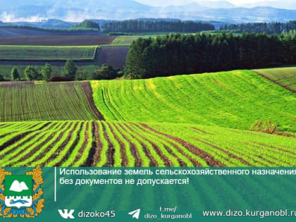 О проведении опроса о Стратегии социально-экономического развития области на период до 2030 года