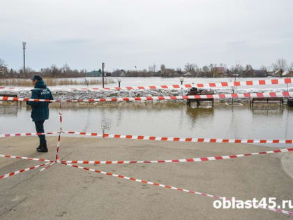 В Курганской области к возможному паводку начали готовиться с января