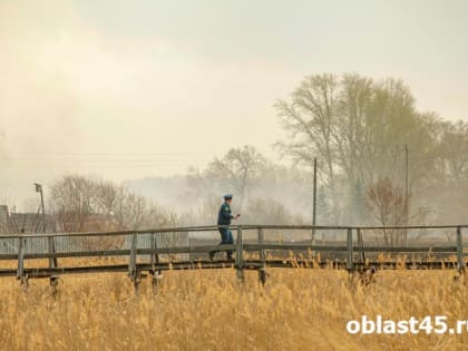 Пожарные защитили от огня два населенных пункта в Курганской области