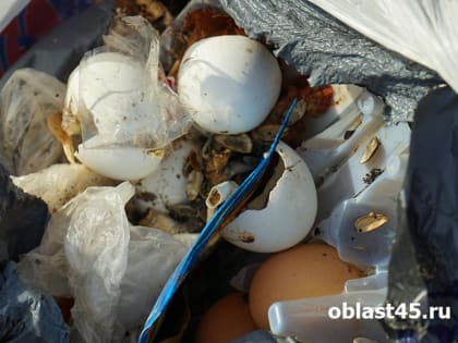 Мэрию Кургана обязали ликвидировать несанкционированную свалку биоотходов