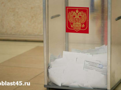 Голосование за президента: когда, где и как зауральцы могут сделать свой выбор