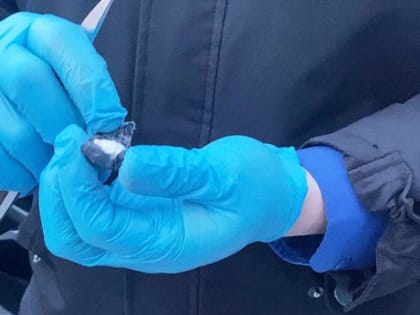 Экспертиза раскроет тайну 75 свёртков из автомобиля курганца