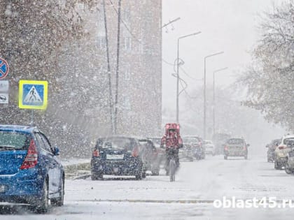 Проверка зимних шин в Курганской области стартует с декабря