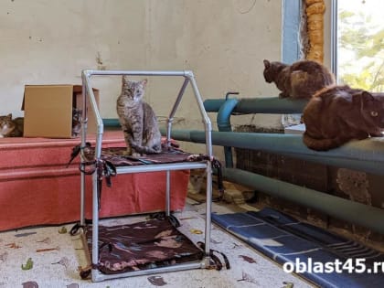 Подключение жилых домов к отоплению в городе продолжается