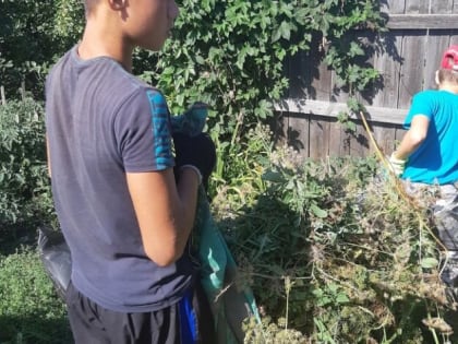 Юные зауральцы организовали акцию «Помоги ветерану»