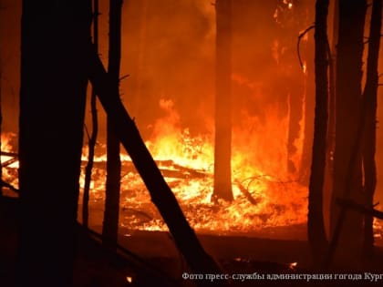 В Курганской области спасают от пожаров три населённых пункта