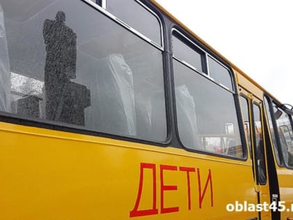 На зауральских трассах частично восстановили движение пассажирского транспорта