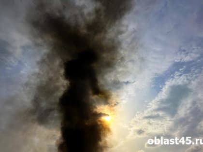 Пожарные борются с огнём на курганском заводе