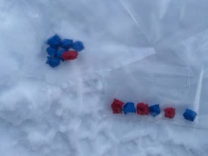 Сбыт провалился: в Кургане с героином задержали питерских мигрантов