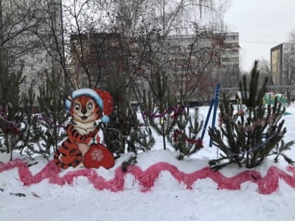 Курганские ТОСы поселили у себя во дворах тигров и оленей