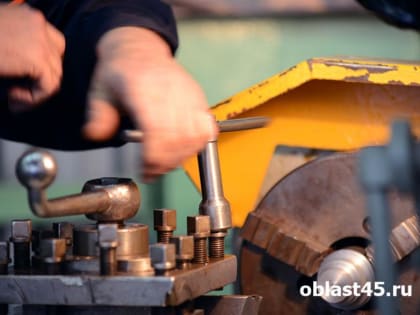 Индекс промышленного производства в Курганской области вырос и составил 131,9%