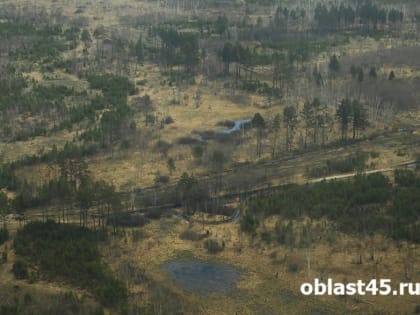 Карантинные зоны в Курганской области из-за повилики