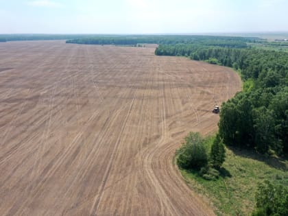 Курганские фермеры отказываются от поддержки Шумкова и уходят в убытки. Техника от «Росагролизинга» оказалась доступной единицам