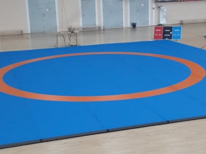 В Курганскую область по проекту «Спорт – норма жизни» продолжает поступать новое оборудование и инвентарь для юных спортсменов