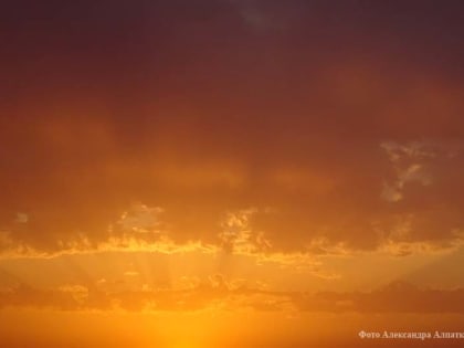 В Курганской области объявлено штормовое предупреждение из-за аномальной жары