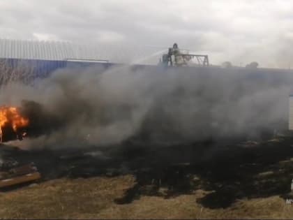 В Кургане загорелись автомобильные шины из-за ландшафтного пожара