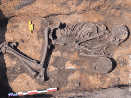 Палеогенетики расшифровали ДНК семьи из бронзового века