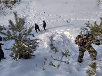 Воспитанники курганского клуба «Воин» совершили полевой выход в лес с ночёвкой в палатке