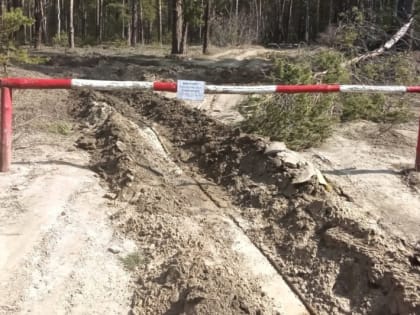 В Курганской области ввели запрет на посещение лесов с 12 апреля по 2 мая