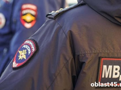 Полиция изъяла крупную партию наркотиков у пожилой женщины в Зауралье
