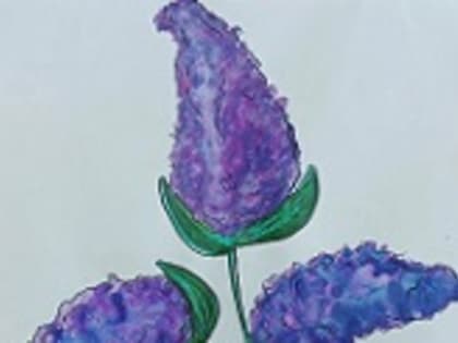 Кетовский округ. Сирень победы