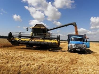 Курганская область завершила уборку зерна и овощей
