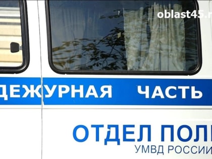 Курганец за вечер обокрал на улице двух женщин