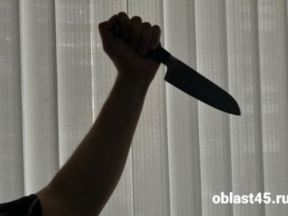 Убийство в Курганской области: пьянство и ревность стали причиной трагедии
