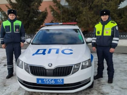 Курганские полицейские открыли стрельбу по колесам автомобиля пьяного нарушителя