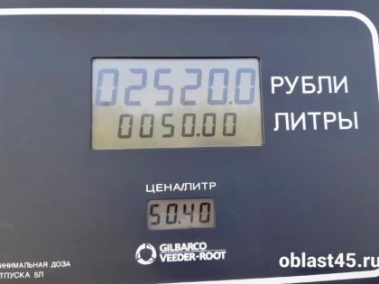 В Кургане резко подорожал бензин