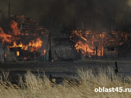 В Курганской области нашли виновников крупных ландшафтных пожаров