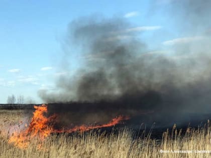В Мишкинском округе идёт борьба с крупным пожаром
