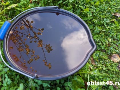 Начало летп порадует курганцев тёплой погодой