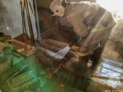 В Курганской области в пожаре погибла женщина