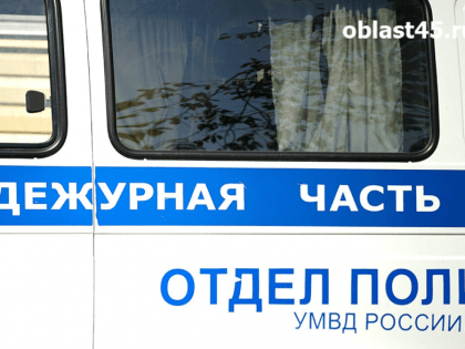 В Курганской области будут судить ударившую полицейского женщину