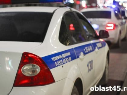 Полицейские задержали автоледи с наркотиками в Курганской области