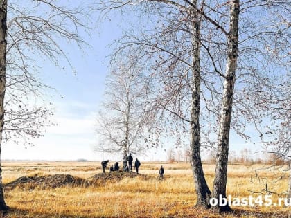 В Зауралье окружная мэрия с нарушениями предоставила многодетным земельные участки