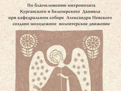 Деятельность волонтёрского корпуса Александро-Невского собора продолжает набирать обороты